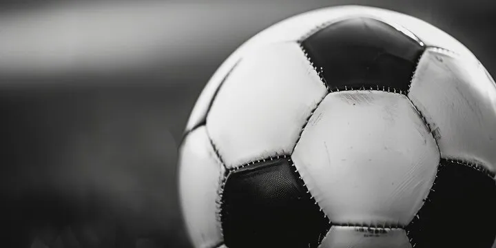 开云·体育APP示意图